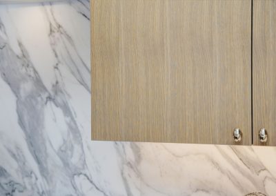 Lower North Hillsborough remodel